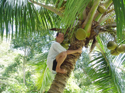 Klaus trying to pick coconut