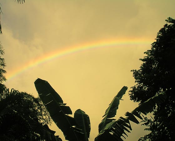 sunset_rainbow.jpg